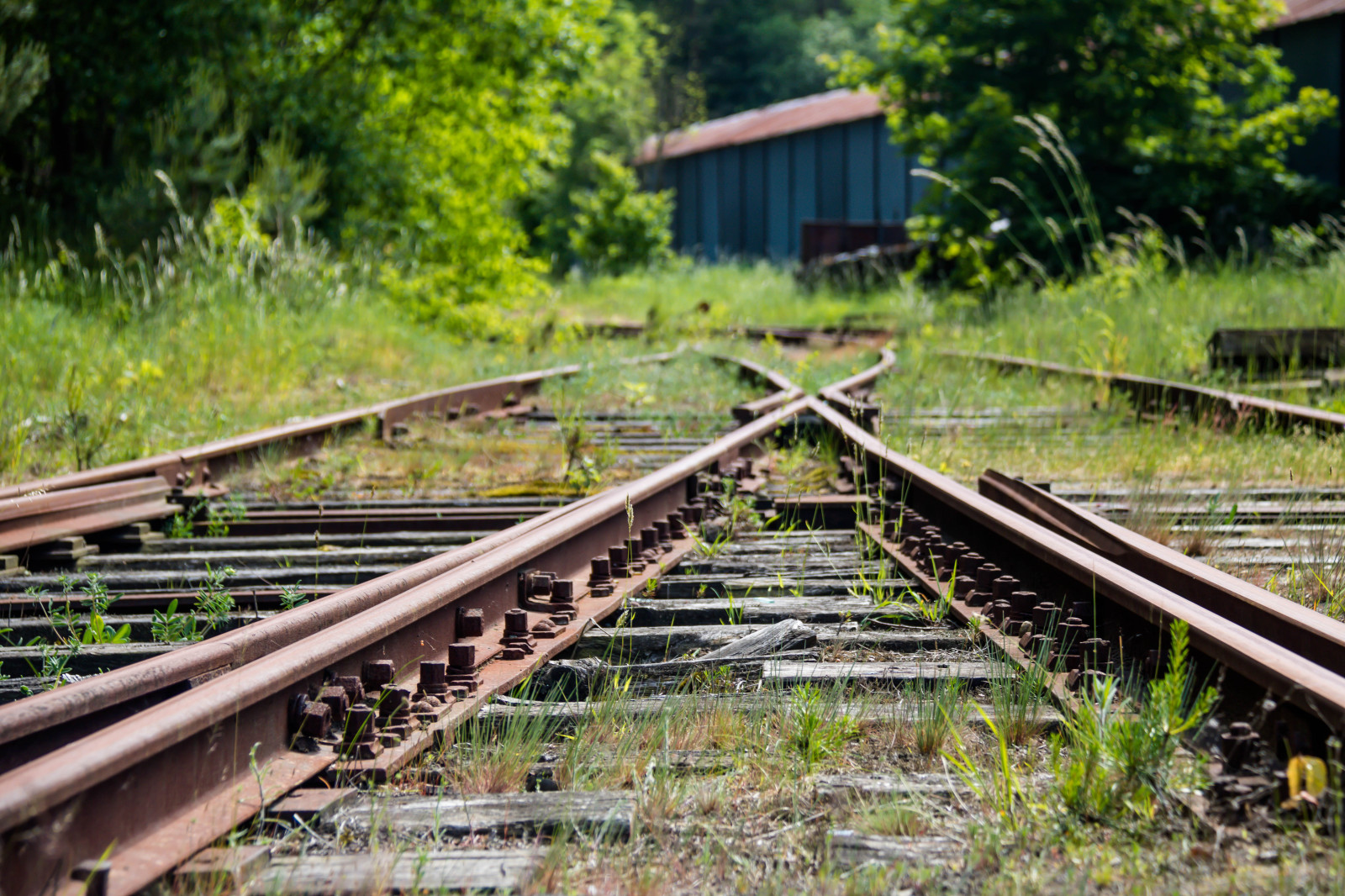 เก่า, ยานพาหนะ, รถไฟ, สะพาน, ขนส่ง, หัวรถจักร, ทางรถไฟ, sterlen, t gstation, nglok, แกมมา, exif model canoneos760d, กล้องทำให้ Canon, กล้องรุ่น canoneos760d, ตำแหน่งทางภูมิศาสตร์, เลนส์ Exifs efs18200mmf3556is, รูรับแสง 56, exif ทำให้ canon, exif isospeed 100, ความยาวโฟกัส exif 70 มม, ติดตาม, Sarp br, museij rnv g, sk nskaj rnv gar, sterlenmuseij rnv g, เกวียน, รถไฟไอน้ำ, Vagn, j rnv g, โครงสร้าง nonbuilding, การขนส่งทางรถไฟ, หุ้นรีด