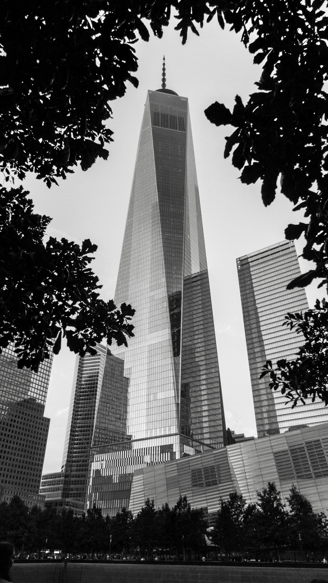 architektura, budova, panoráma města, mrakodrap, město, displeje na výšku, Freedom Tower, stromy, New York City, Spojené státy americké, černobílý, listy, One World Trade Center