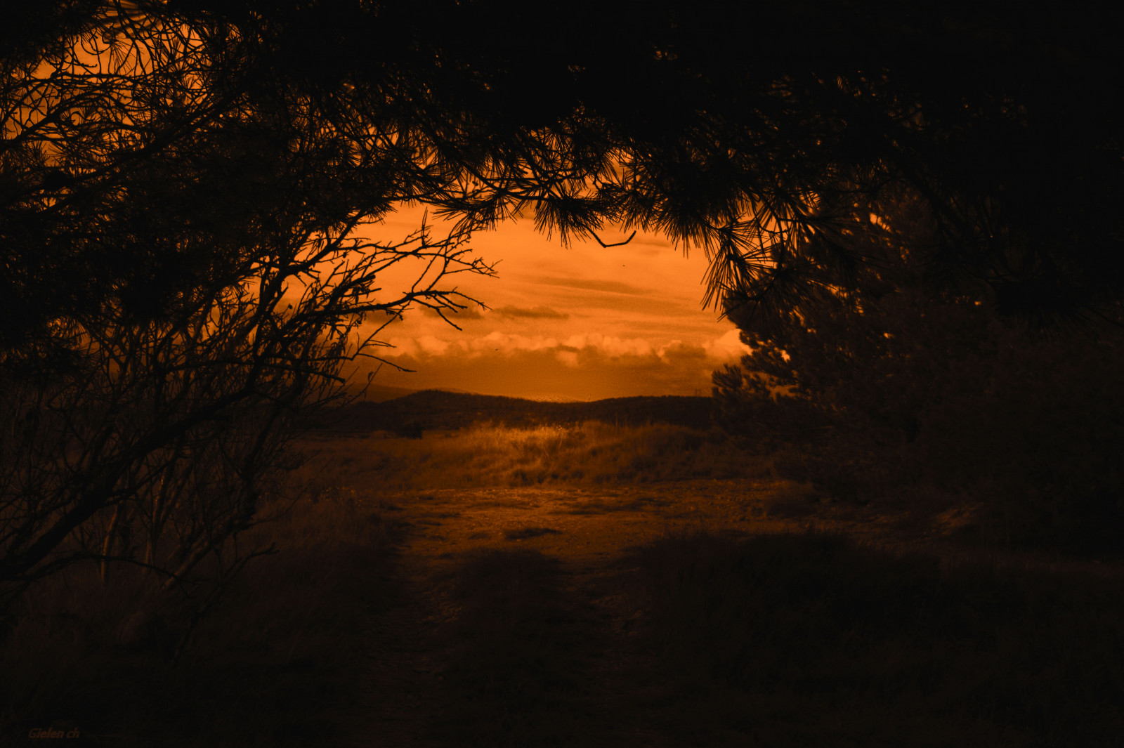 luce del sole, paesaggio, tramonto, notte, cielo, ramo, Alba, sera, mattina, Sole, orizzonte, atmosfera, Francia, crepuscolo, nube, albero, alba, oscurità, Sud, foret, bois, aude, Campagne, sfondo del computer, ultimi bagliori, oggetto astronomico, cielo rosso al mattino, savana, ecoregione