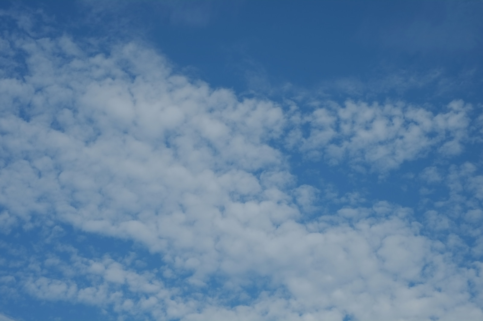 cielo, blu, atmosfera, Tokyo, Fujifilm, nube, Fujinon, XPro1, xf35mmf14r, X, xpro, giorno, atmosfera della terra, fenomeno meteorologico, cumulo