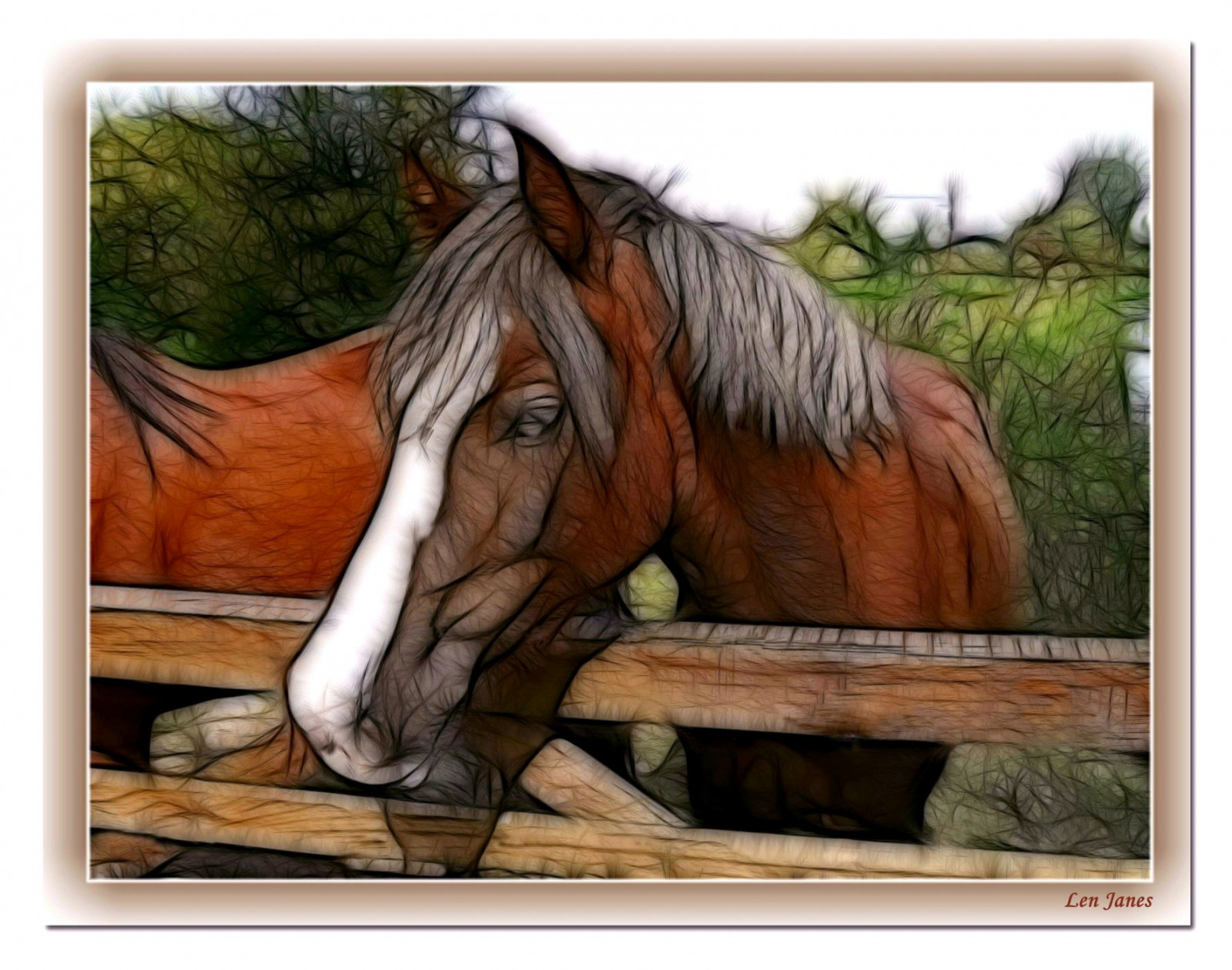 malování, listy, moře, voda, Příroda, písek, Červené, kůň, zima, pole, zelená, most, hnědý, řeka, vlasy, vítr, panoráma, letní, Disney, mlýn, břeh řeky, jaro, soubor, poník, UMĚNÍ, země, barva, strom, list, Nový, Pohled, děti, divoký, hospodářská zvířata, barva, zábava, ženský, myš, hříbě, přistát, kobyla, mužský, Bedfordshire, fauna, scénický, micky, bedford, větvička, klisnička, hříva, kůň jako savci, hřebec, mustang kůň, pack animal, uzda, jezdecké potřeby, horse supplies