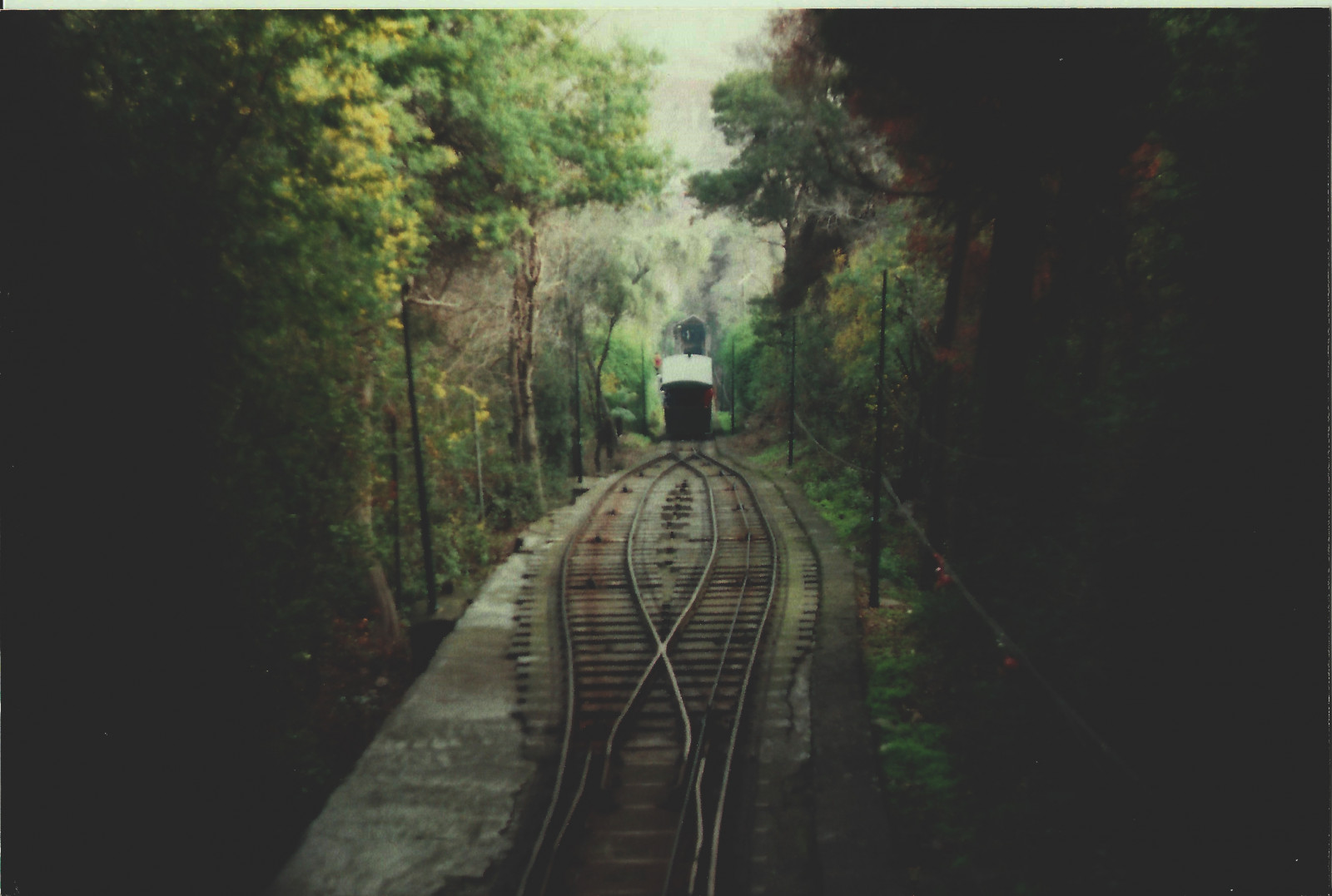 ติดตาม, ขนส่ง, การขนส่งทางรถไฟ, ต้นไม้, อุโมงค์, ป่า, หุ้นรีด, ป่า, รถไฟ, ป่าเจริญเติบโตเก่า