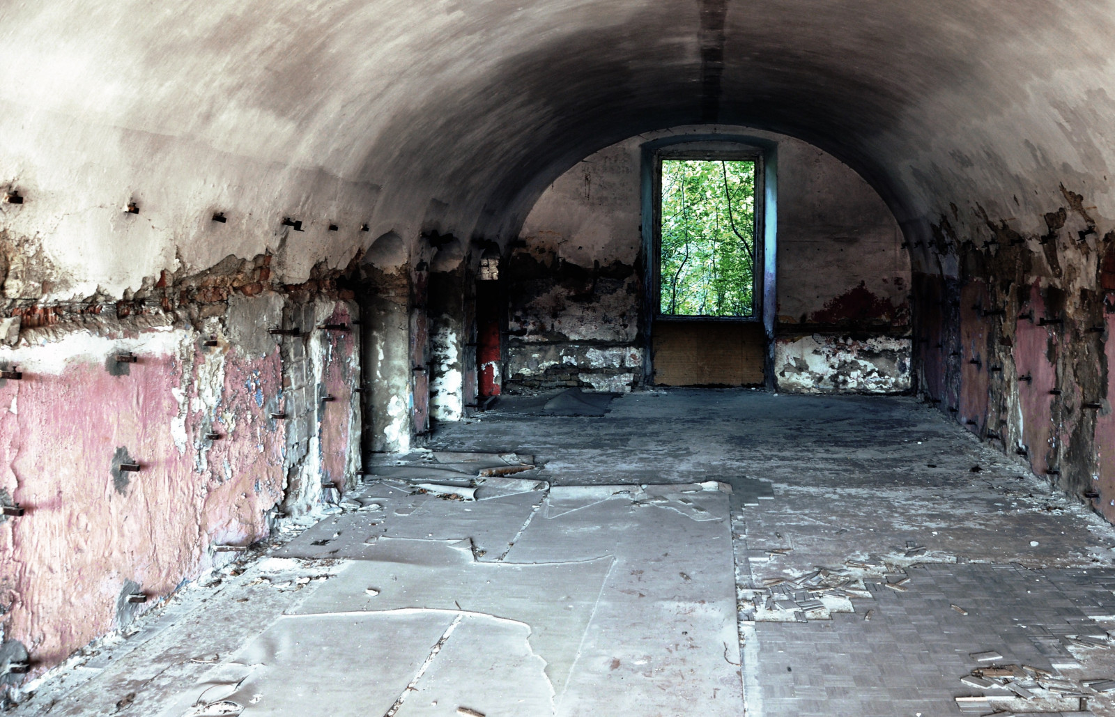 trær, vindu, rom, interiør, ruin, forlatt, vegg, murstein, fotografering, bue, fliser, tunnel, kloster, Slovakia, infrastruktur, bakgate, urbant område, gammel historie, tilfluktsrom