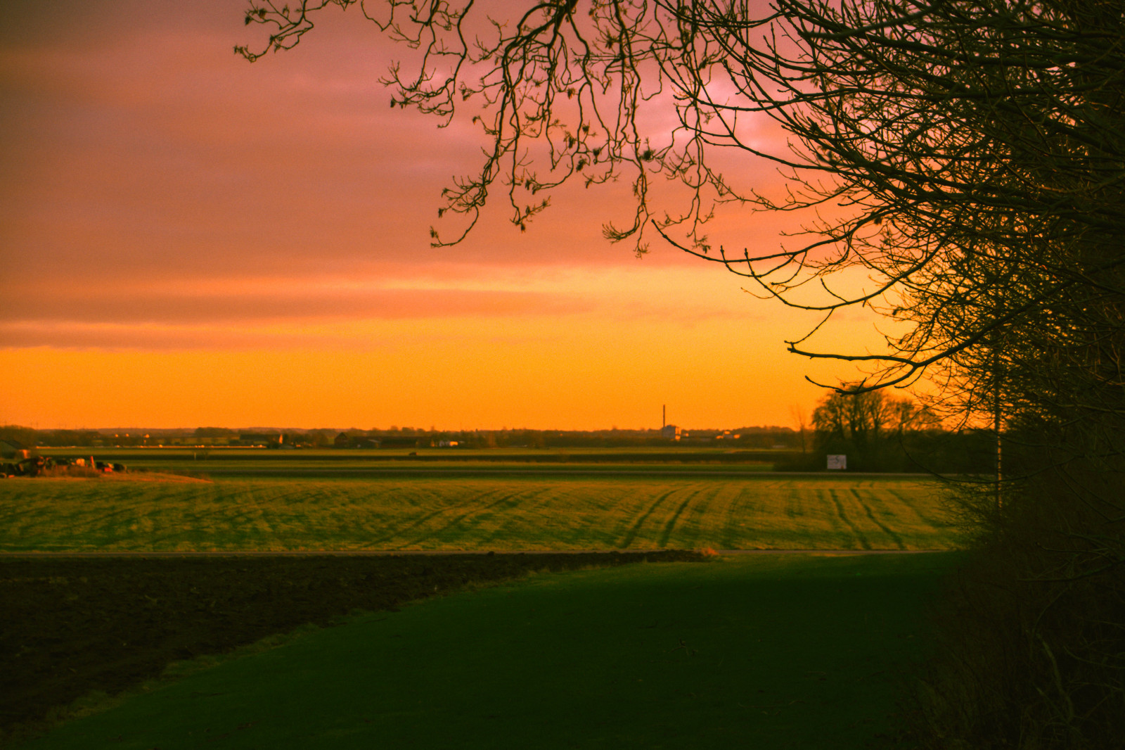 แสงแดด, แนวนอน, มีสีสัน, พระอาทิตย์ตก, เนินเขา, ธรรมชาติ, หญ้า, ท้องฟ้า, ฟิลด์, พระอาทิตย์ขึ้น, ตอนเย็น, เช้า, หมอก, ดวงอาทิตย์, ขอบฟ้า, สวีเดน, พลบค่ำ, Sverige, เมฆ, ต้นไม้, ฤดูใบไม้ร่วง, ดอกไม้, รุ่งอรุณ, ทุ่งหญ้า, ปลูก, แสง, sk nel n, se, himmel, Horisont, outdor, ตาย, KER, sk ne, ljus, ชนบท, fl diematving rd, ทุ่งหญ้า, ที่ราบ, ทุ่งหญ้า, เขตชนบท, ปรากฏการณ์บรรยากาศ, สายัณห์, ไม้ยืนต้น, ครอบครัวหญ้า