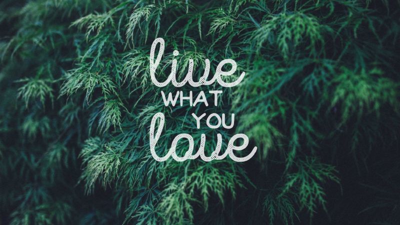citar, amor, tipografía, rama, verde, selva citar, amor, tipografía, rama, verde, selva