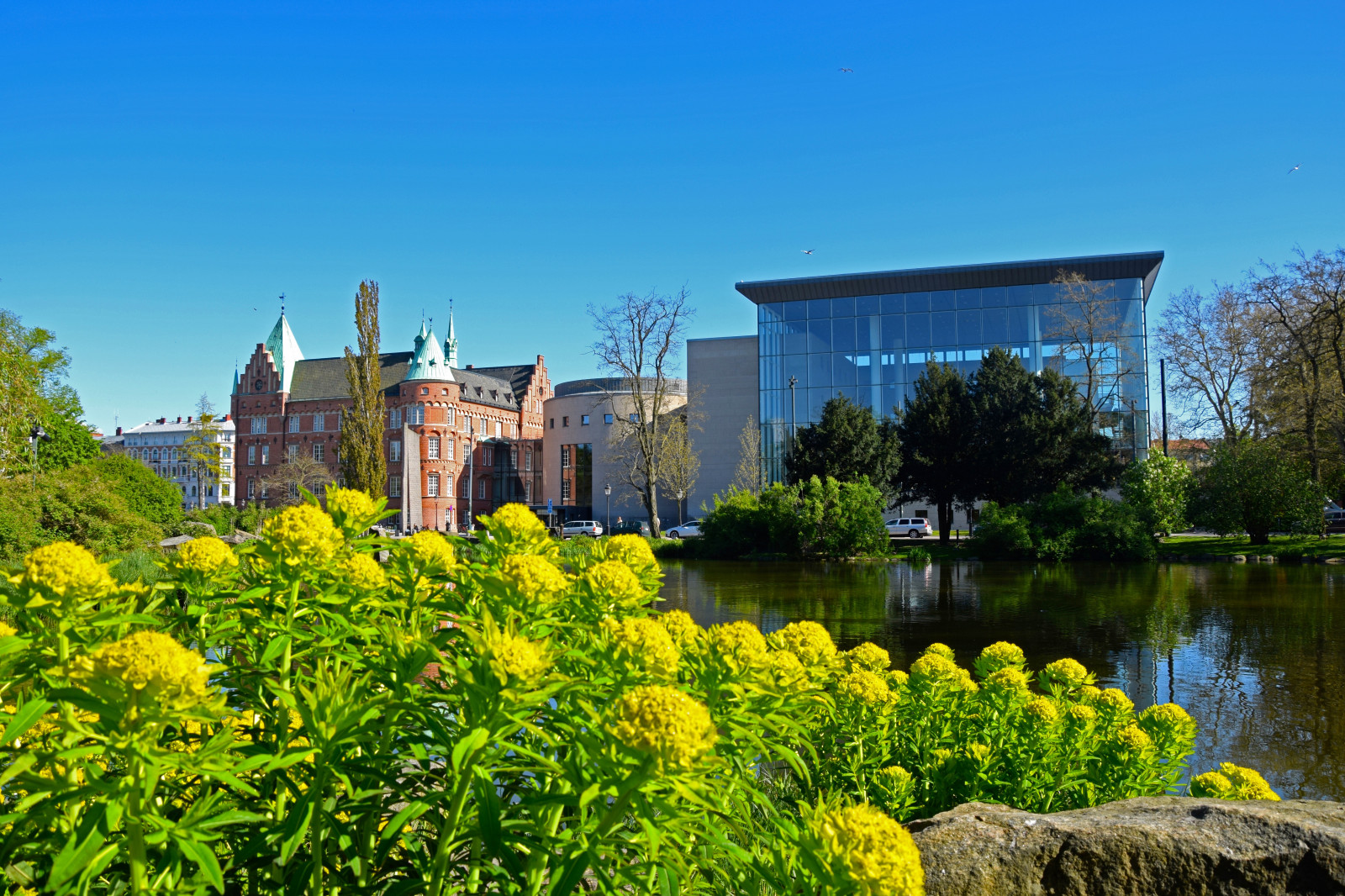 alberi, giardino, architettura, acqua, riflessione, parco, Turismo, verde, biblioteca, stagno, Svezia, tenuta, fiore, edifici, Kungsparken, damm, Malmo, Bibliotek, bloccare