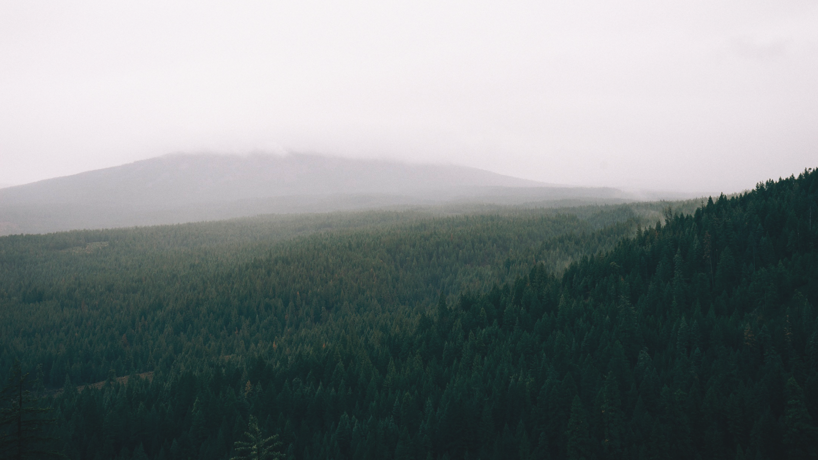 sollys, landskab, Skov, bakke, natur, græs, Mark, solopgang, morgen, tåge, horisont, ødemark, dis, topmøde, plateau, ryg, Sky, træ, tåge, bjerg, vejr, daggry, eng, almindeligt, landdistrikt, levested, naturligt miljø, atmosfærisk fænomen, atmosfære af jord, bjergrige landskabsformer, landskabsform, geografisk funktion, bjergkæde