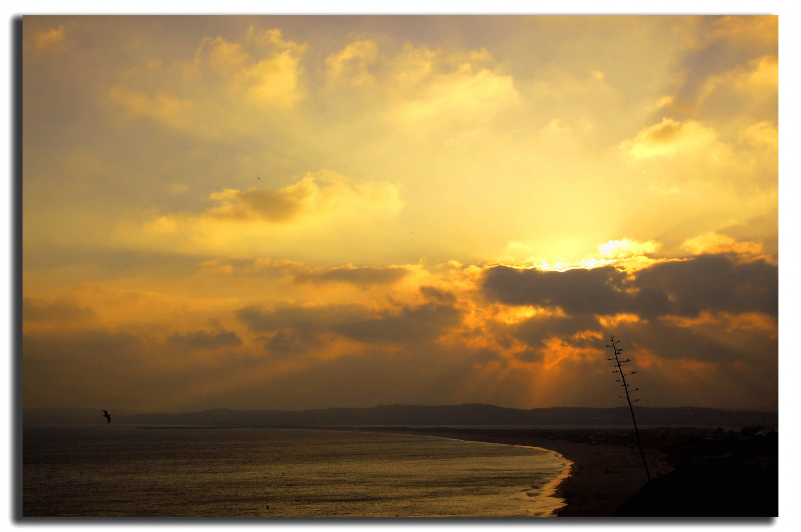 slunečnímu záření, západ slunce, moře, nebe, pláž, svítání, večer, ráno, pobřeží, slunce, horizont, Nikon, zlato, soumrak, Přátelé, Portugalsko, pohlednice, světlo, mrak, paprsky, svítání, oceán, zlatá hodina, Ó, prostý, nikonstunninggallery, d40, Soe, Bravo, magicdonkey, aplusphoto, goldenphotographer, interestingness6, bb, infinestyle, prérie, odlesk, algarve, Prainha, seagul, Alvor, Divino, xxxxxxxxxxxxxxxxxxxxxxxx, goldenmermaid