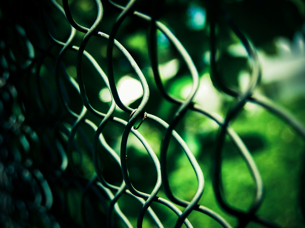 kontrast, Černá, zvěř, Příroda, městský, tráva, Země, větev, zelená, modrý, plot, ostrý, stíny, list, flóra, řetěz, typ, kovový, struktury, počítač tapeta, zblízka, makro fotografie, závod stonek, organismus, samostatný, bariéra