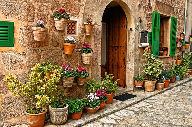 rostlina, okno, květ, domů, nádvoří, outdoor struktura rostlina, okno, květ, domů, nádvoří, outdoor struktura