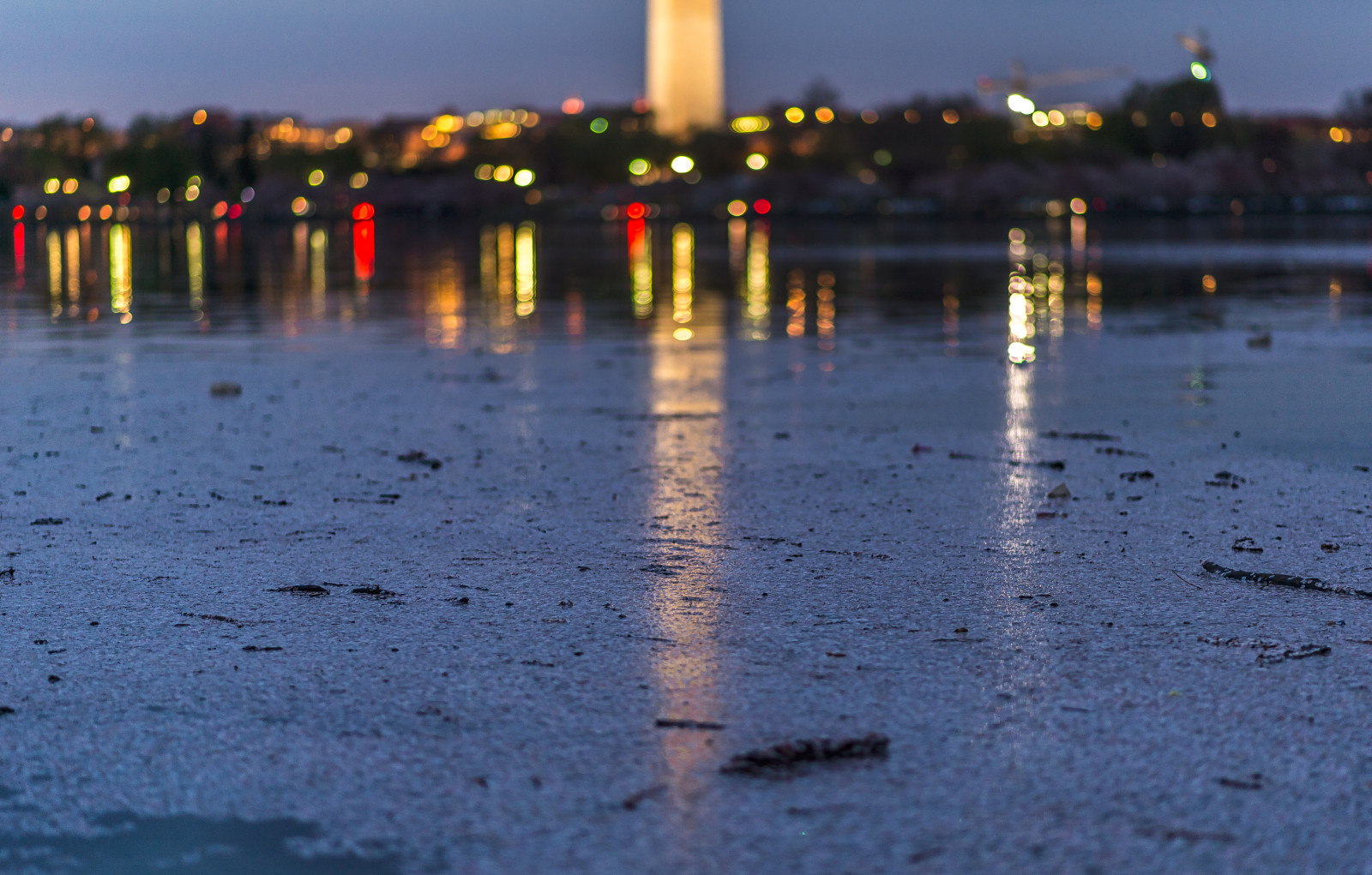vand, afspejling, aften, himmel, fænomen, vandressourcer, kyst, nat, skumring, træ, flod, horisont, berolige, hav, bølge, vådområde