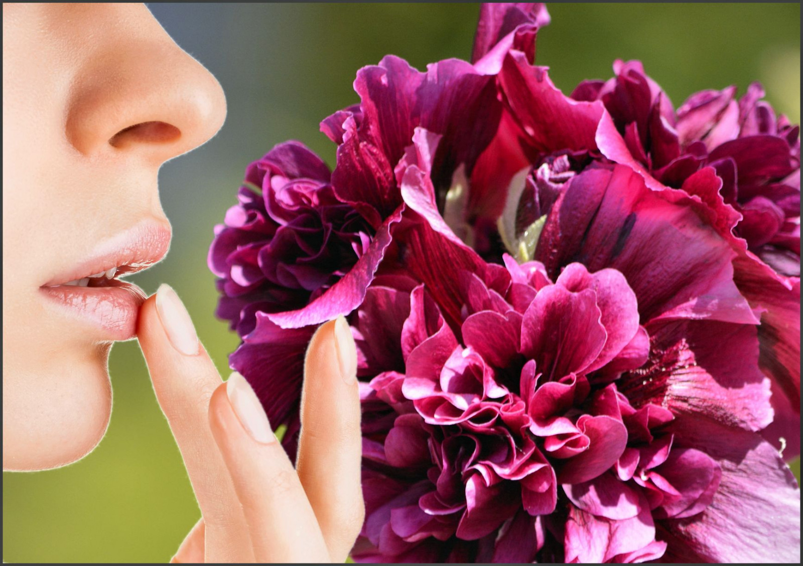 Wallpaper face, purple, profile, rose, nose, pink, magenta, woman, lady, female, petal, smell