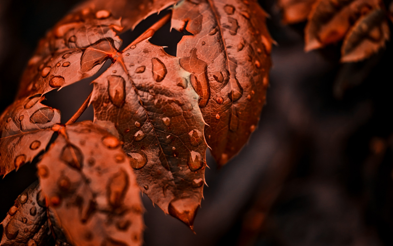 3840x2400 px, levelek