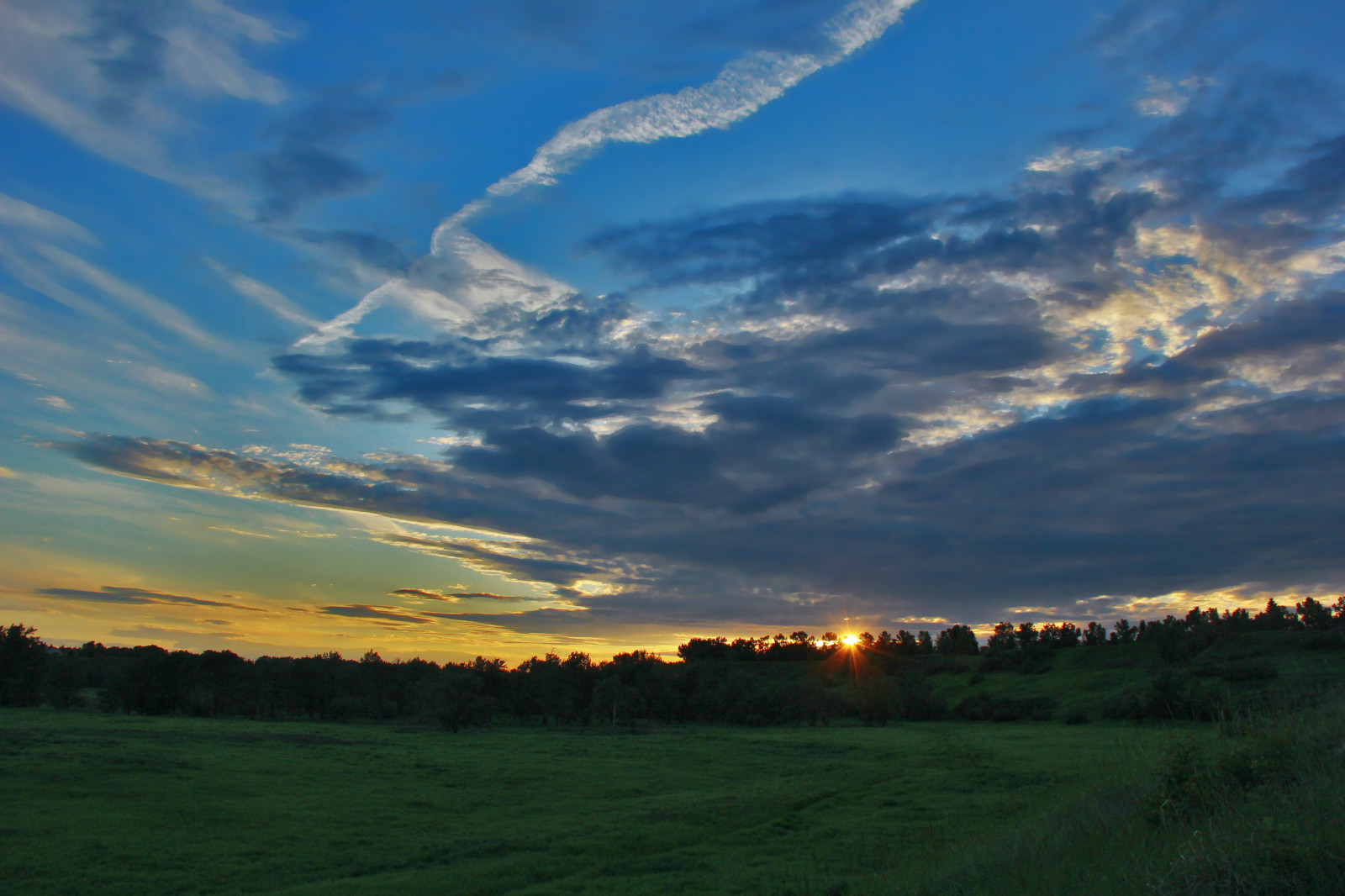 alberi, tramonto, estate, cielo, Sole, natura, campo, erba, tempo metereologico, nuvole, Canone, primavera, contrail, splendore, sagome, atmosfera, fogliame, prateria, cespugli, davidsmith, Bowrivervalley, calgaryalbertacanada, Bowvalleyranch, EOS60D