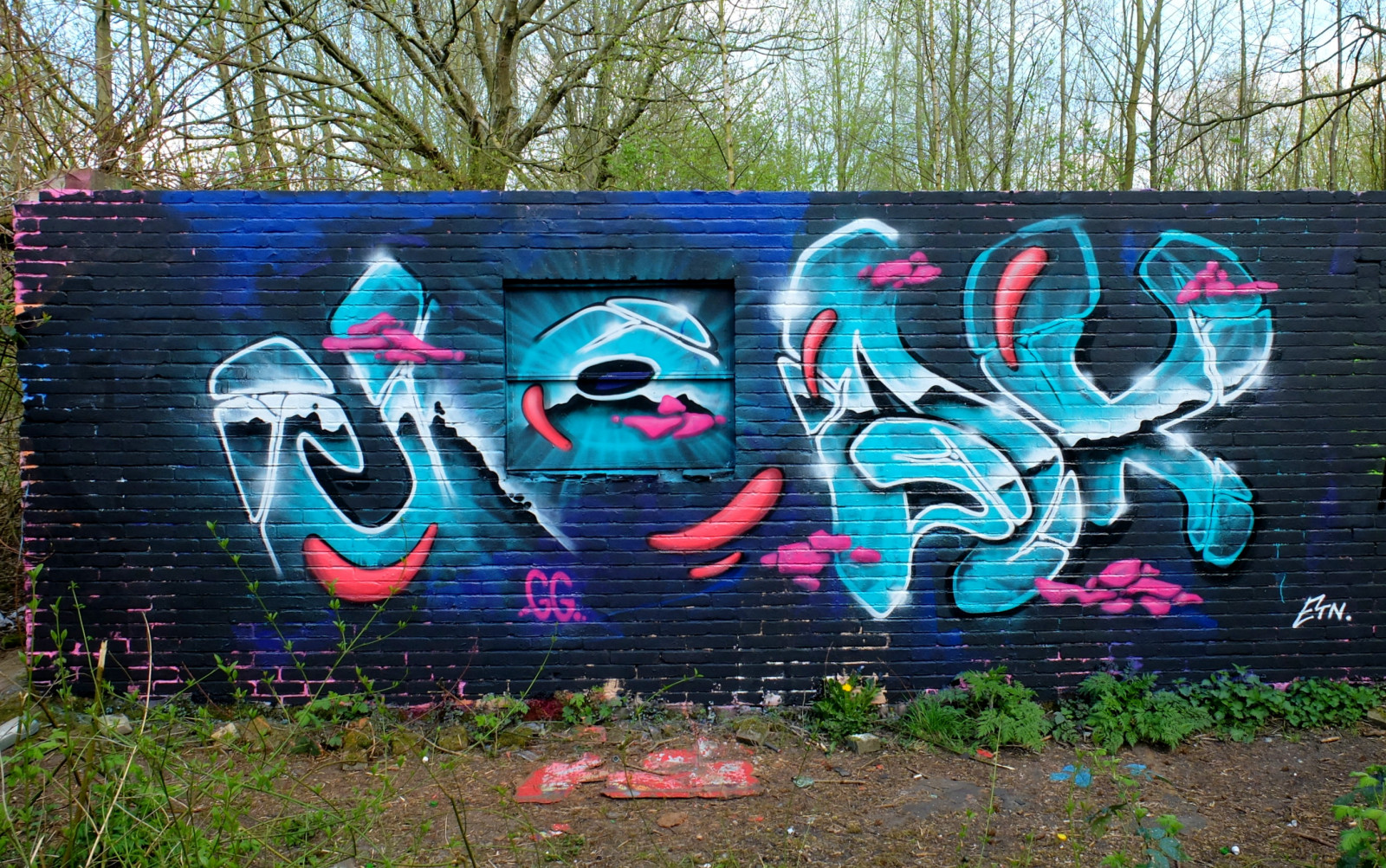 grafiti, UMĚNÍ, pouliční umění, stěna, nástěnná malba, plocha, tráva, malování