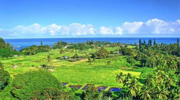 landscape,waterfall,sea,bay,hill,beach