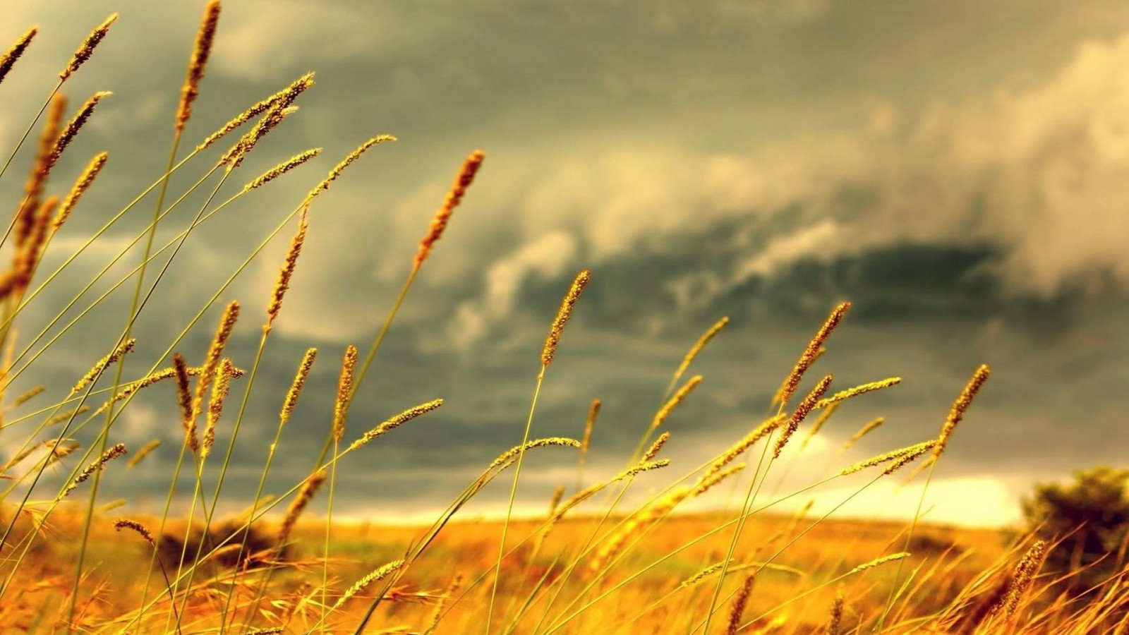 Masaüstü : Güneş ışığı, Manzara, gökyüzü, alan, akşam, sabah, atmosfer
