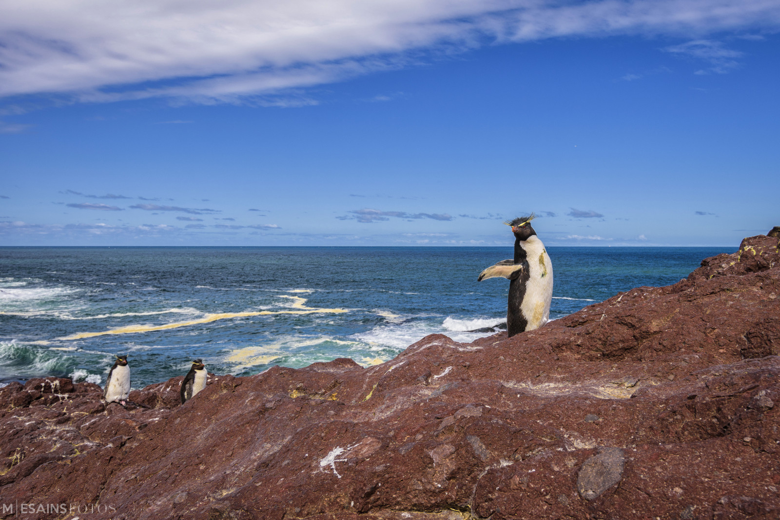 hav, vand, klippe, kyst, himmel, strand, Turisme, kyst, klint, horisont, kappe, Isla, santa, Argentina, Patagonia, ferie, Sky, ocean, bølge, cielo, naturaleza, nubes, Mar, playa, amarillo, puerto, agua, de, cruz, Turismo, costa, marea, Oceano, Viajes, olas, Piedras, horizonte, vind-bølge, forbjerg, forager, Acantilado, atlantico, Magallanes, pinguino, penacho, Deseado, Gaviot n, Sudamericano, coastal and oceanic landforms