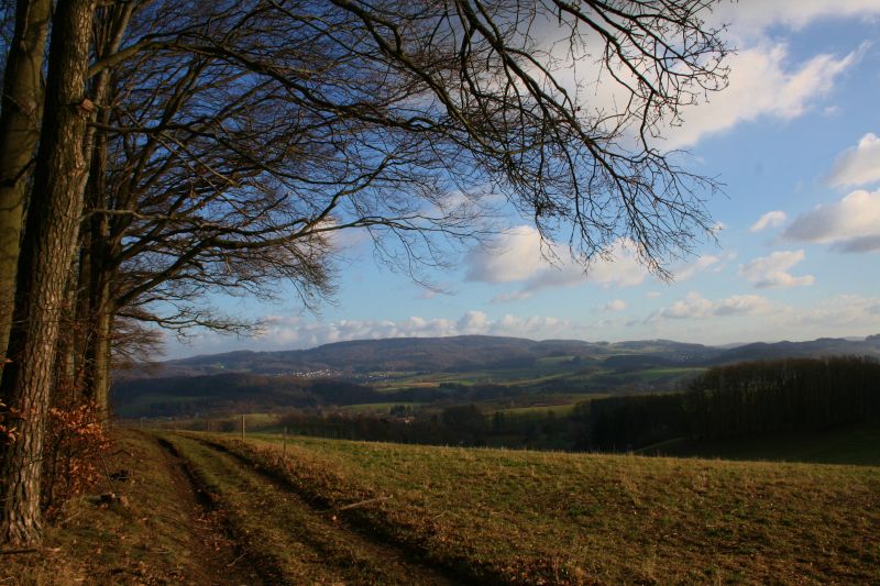 vinter-,Tyskland,landskap,deutschland,landschaft,Odenwald