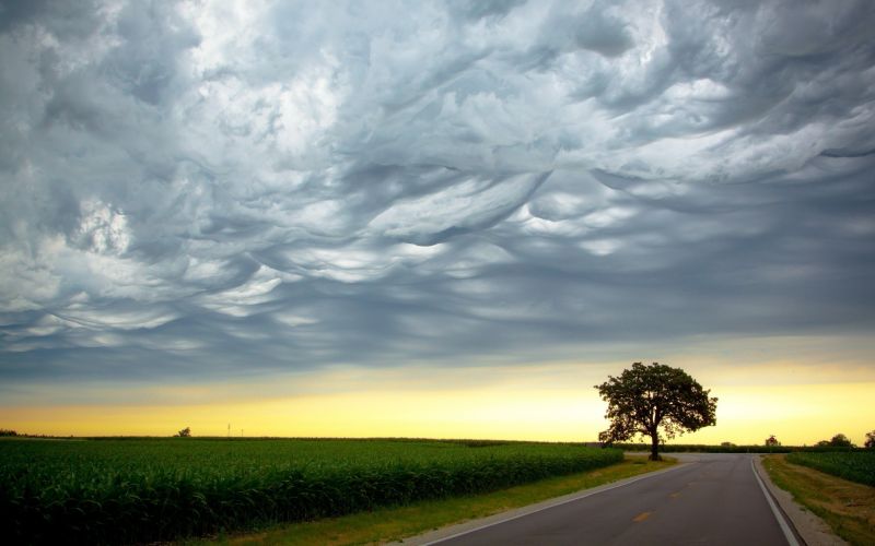 sunlight, landscape, nature, sky, field, road sunlight, landscape, nature, sky, field, road