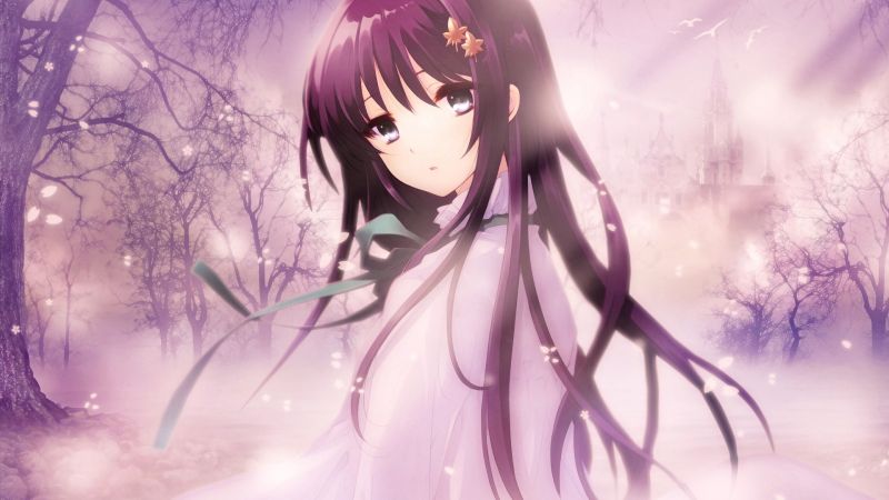 illustration, anime, manga, flower, computer wallpaper, mangaka illustration, anime, manga, flower, computer wallpaper, mangaka