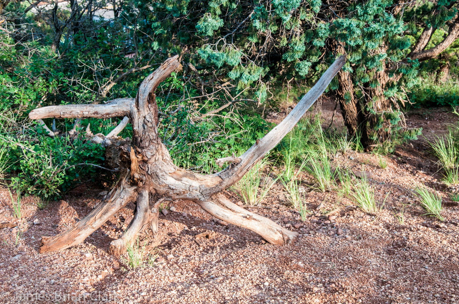 parco, viaggio, autunno, alberi, inverno, rosso, scogliera, Stati Uniti d'America, nube, montagna, la neve, Turismo, natura, bellissimo, bellezza, roccia, pino, giardino, manifesto, paesaggio, primavera, sabbia, arenaria, Colorado, vento, Dio, escursioni a piedi, altitudine, cartolina, eccezionale, picco, erosione, Formazione, arrampicata, pista, nazionale, molle, Colorado Springs, co, montagne Rocciose, geologia, luccio, polvere, ginepro, Pikes Peak, Cheyenne, barr, Manitou, rimescolando, geologico