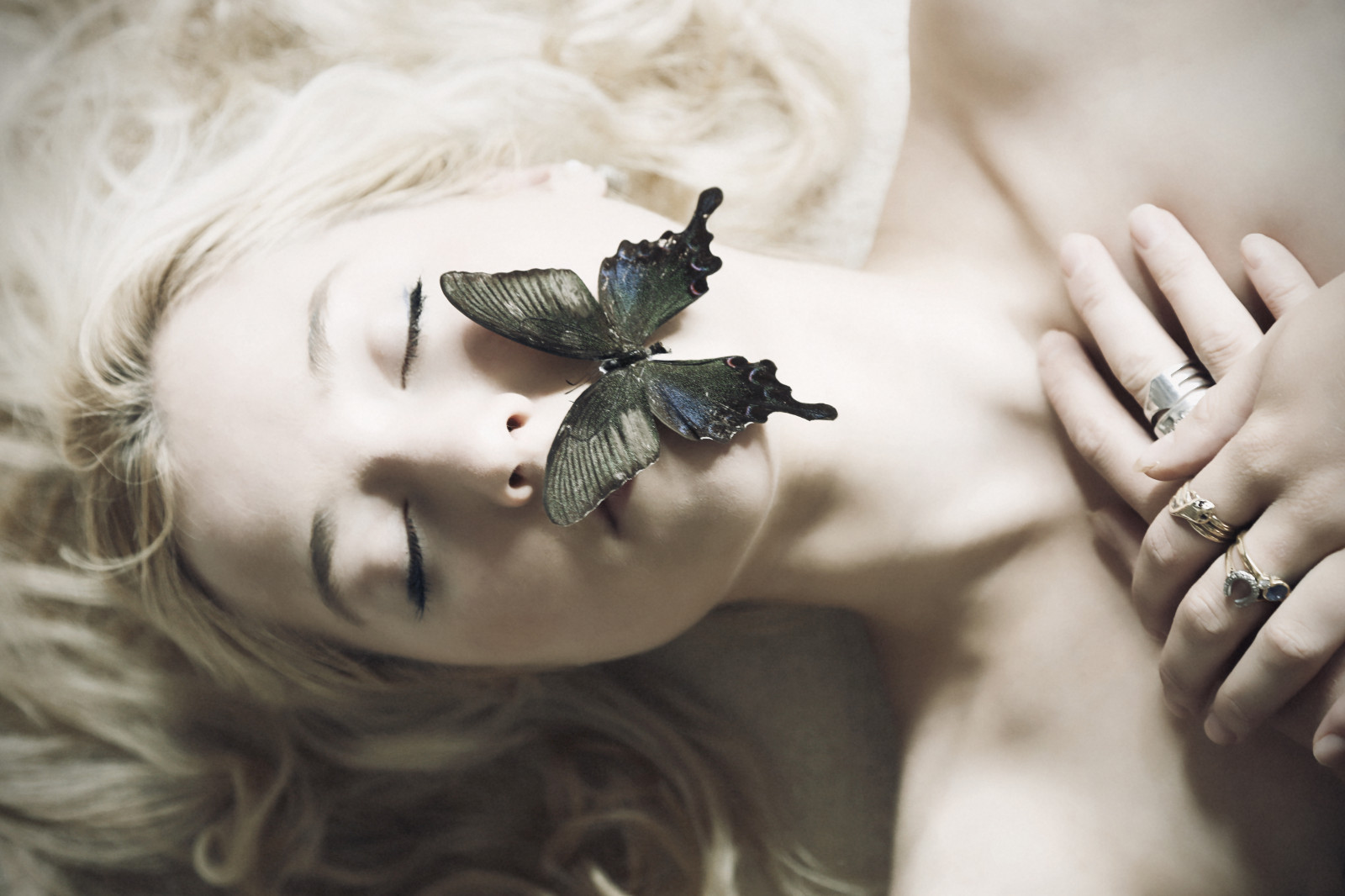 hvid, portræt, blond, øjne, fotografering, sommerfugl, kold, hår, emotion, Person, hud, hoved, Conceptual, Koncept, smuk, blomst, smuk, forestilling, pige, skønhed, øje, kvinde, farve, hånd, positur, portrætter, kreativ, project365, potrait, følelsesbetonet, conceptphotos, organ, tæt på, makrofotografering, conceptphoto