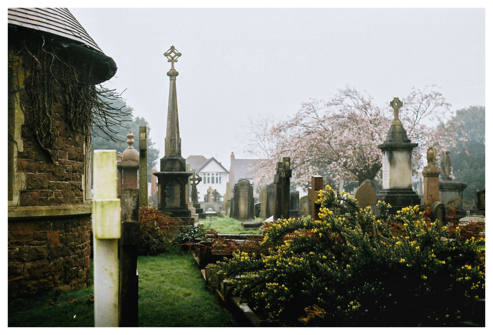 hřbitov, hrob, strom, náhrobní kámen, tráva, květ, Dům, pamětní