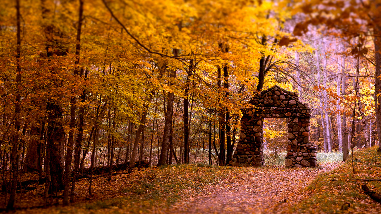 Wallpaper : 1920x1080 px 1920x1080 - wallup - 807639 - HD Wallpapers ...