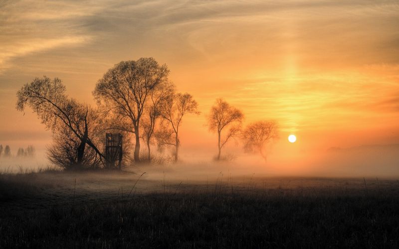 slunečnímu záření, stromy, krajina, západ slunce, Příroda, tráva slunečnímu záření, stromy, krajina, západ slunce, Příroda, tráva