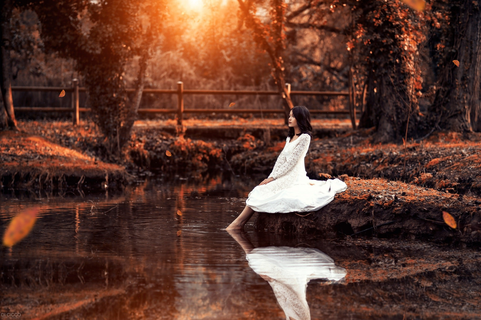 zonlicht, vallen, vrouw, model-, lang haar, meer, natuur, brunette, reflectie, Alessandro Di Cicco, winter, jurk, ochtend-, herfst, weer, vogel, seizoen, watervogel