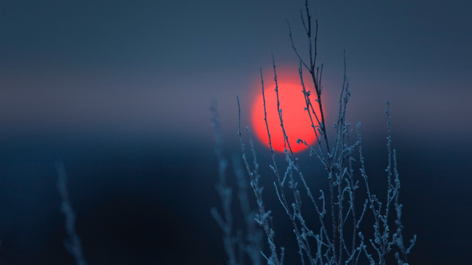 sollys, landskab, solnedgang, natur, minimalisme, afspejling, himmel, planter, vinter, afdeling, blå, frost, enkel, Sol, skyfri himmel, lys, bølge, mørke, skærmbillede, computer tapet, atmosfære af jord, makrofotografering