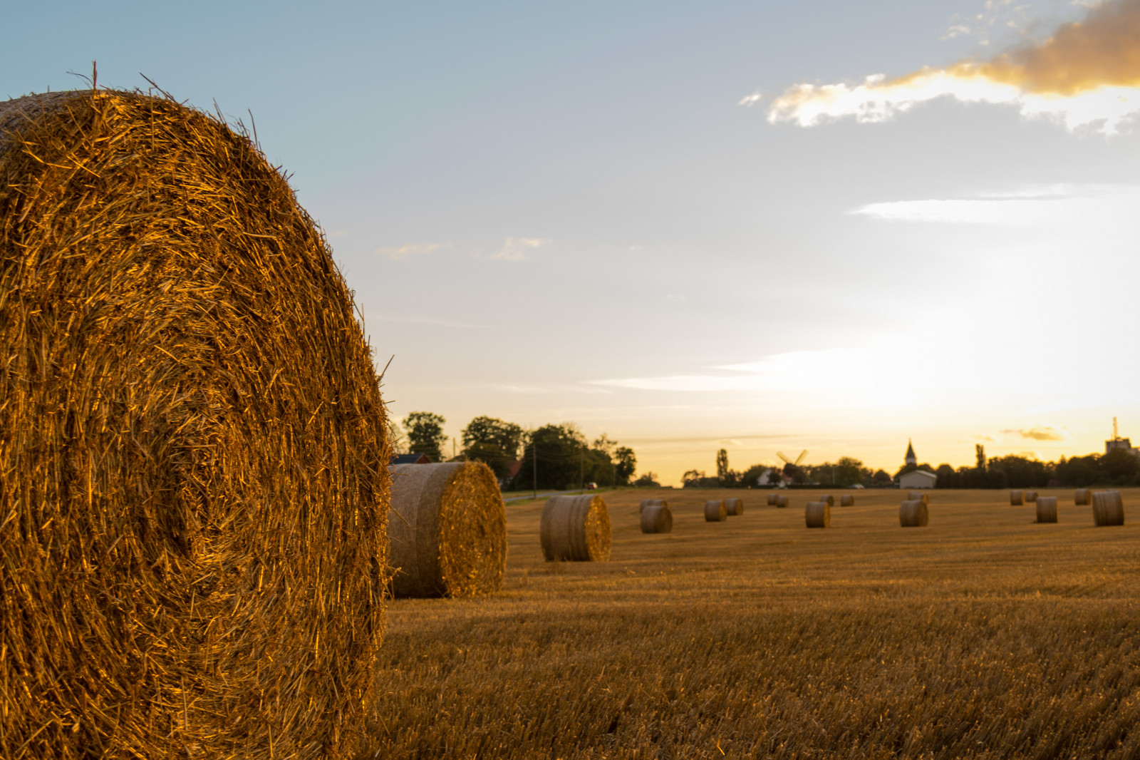 slunečnímu záření, krajina, západ slunce, kopec, Příroda, tráva, nebe, pole, večer, ráno, horizont, seno, mrak, strom, podzim, rostlina, zlatá hodina, nebe, solnedg ng, moln, s dersl tt, landskap, exif modelu canoneos760d, geocountry, Kamera aby kánon, geocity, Model fotoaparátu canoneos760d, geostate, geolocation, EXIF čočka efs18200mmf3556is, exif aby kánon, EXIF isospeed 100, exif focallength 32mm, EXIF otvor 50, s dra od, halmrulle, gyllenetimmen, stéblo, rohlíky, strawrolls, zemědělství, oříznutí, venkov, tráva rodina