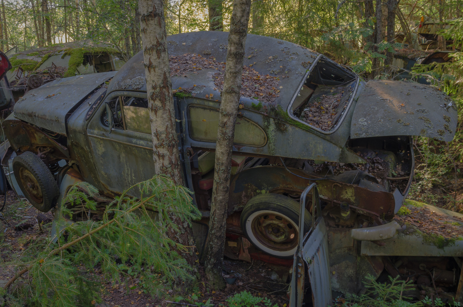 auto, květiny, květ, opuštěný, Příroda, auto, kov, les, vinobraní, fotografování, rez, barvy, fotografie, umělecký, pentax, Švédsko, venkovní, rozklad, letní, podrobnosti, Urlaub, Schweden, natur, venkovský, blumen, Sverige, vrak, blume, rost, vinětace, metall, Wald, farbe, Baume, baum, chrom, Moos, Rostig, K5, Reise, Farben, schmetterling, Dalsland, Schrott, mořské chaluhy, carcemetery, automobil, cargraveyard, Ruhe, autofriedhof, schrottplatz, t cksfors, bilvrak, Varmland, forfall, schrottauto, bilskrot, Bastnas, altmetall, br Derna, pentaxk5, ivanssons