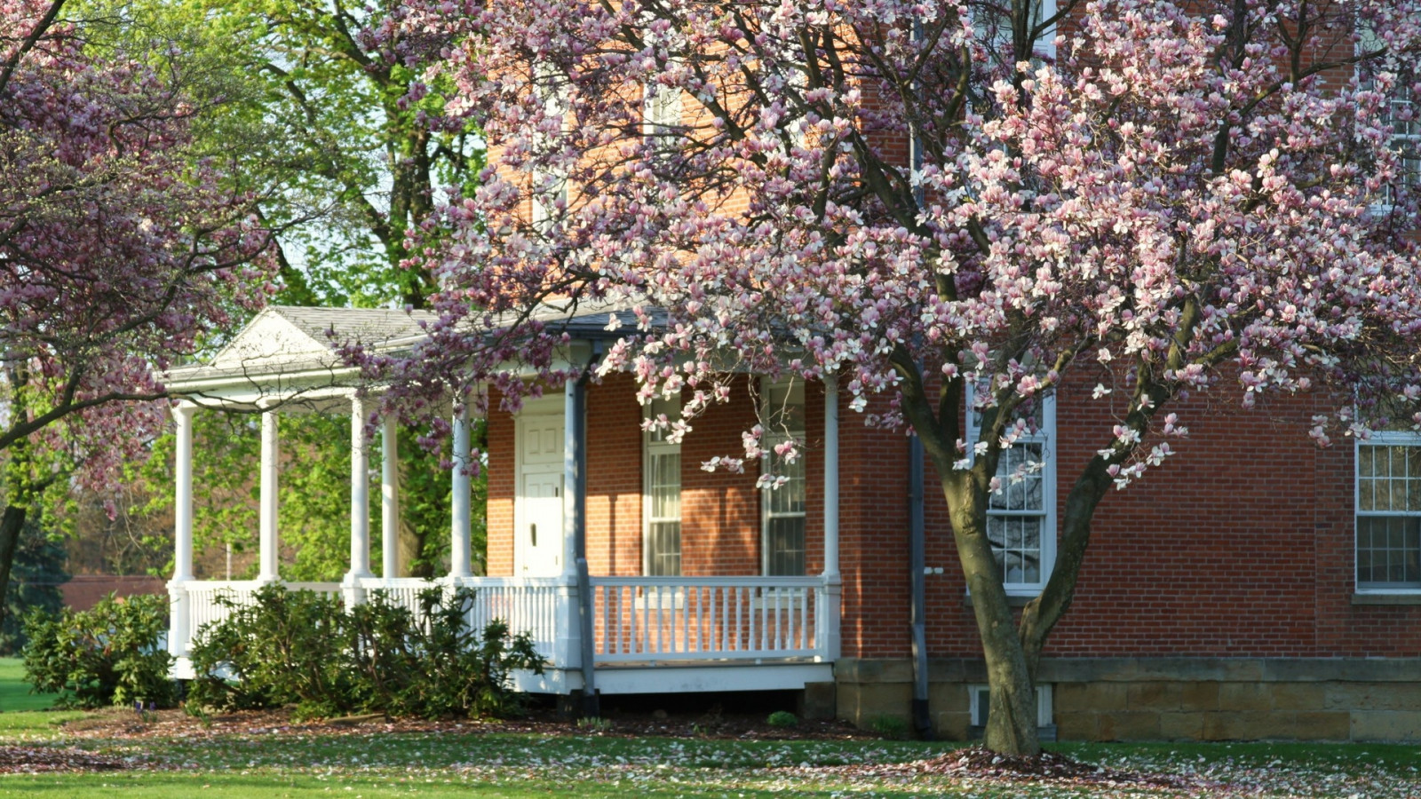 květiny, zahrada, budova, tráva, chalupa, zadní dvorek, majetek, strom, květ, yard, rostlina, domů, trávník, botanika, dřevina, keř, outdoor struktura