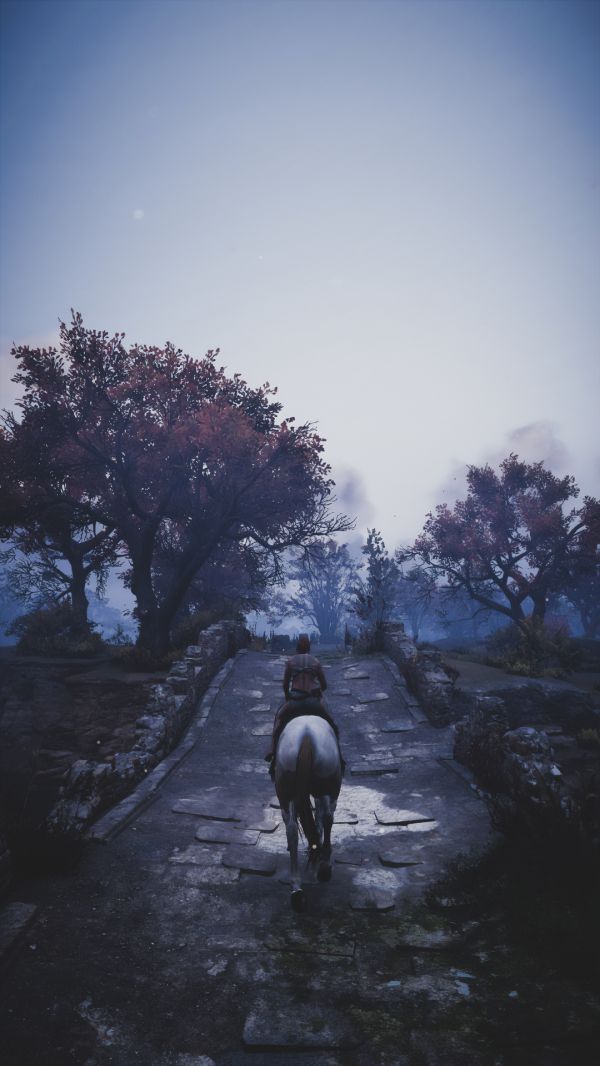 Assassin's Creed,Assassin's Creed Valhalla,video games,CGI,horse,vertical