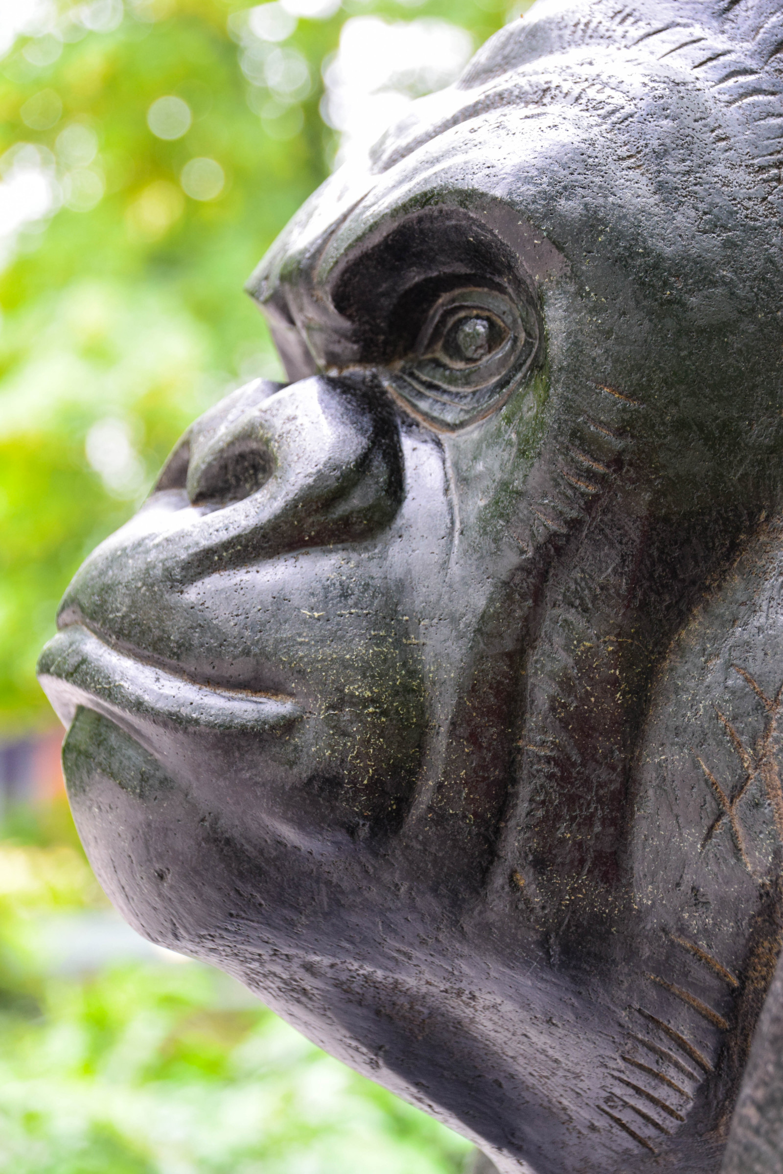 chrám, Příroda, Německo, sochařství, socha, zoologická zahrada, Evropa, akvárium, Berlín, hlava, památník, UMĚNÍ, zvíře, venkovní, de, Německo, zoologischergarten, budapesterstrasse, berlinszoo, fauna, savec, řezba, zblízka, západní gorila, velký lidoop, primát, chrlič