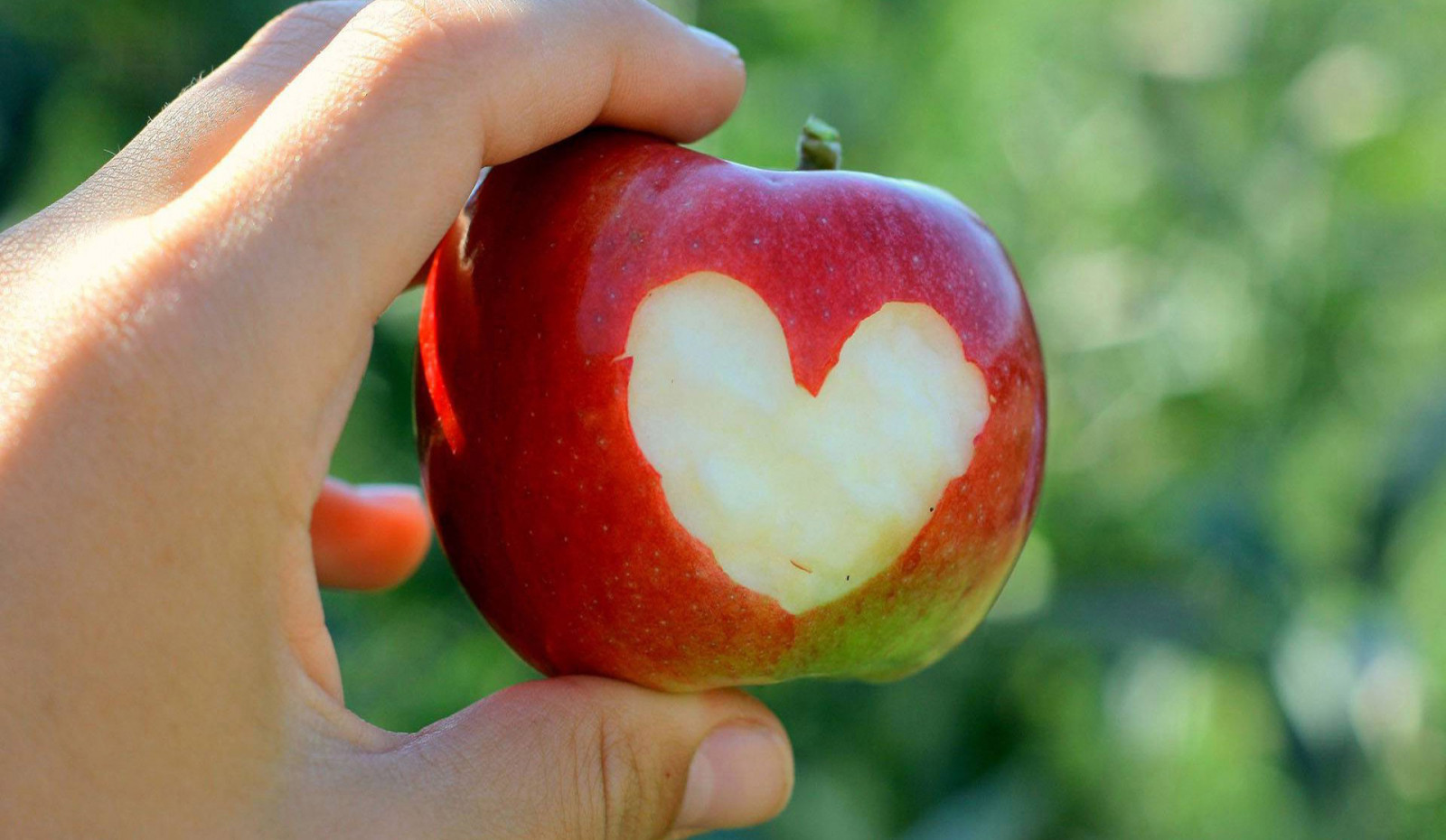 jídlo, ovoce, jablko, vyrobit, McIntosh, 1920x1116 px, místní jídlo, natural foods, diet food