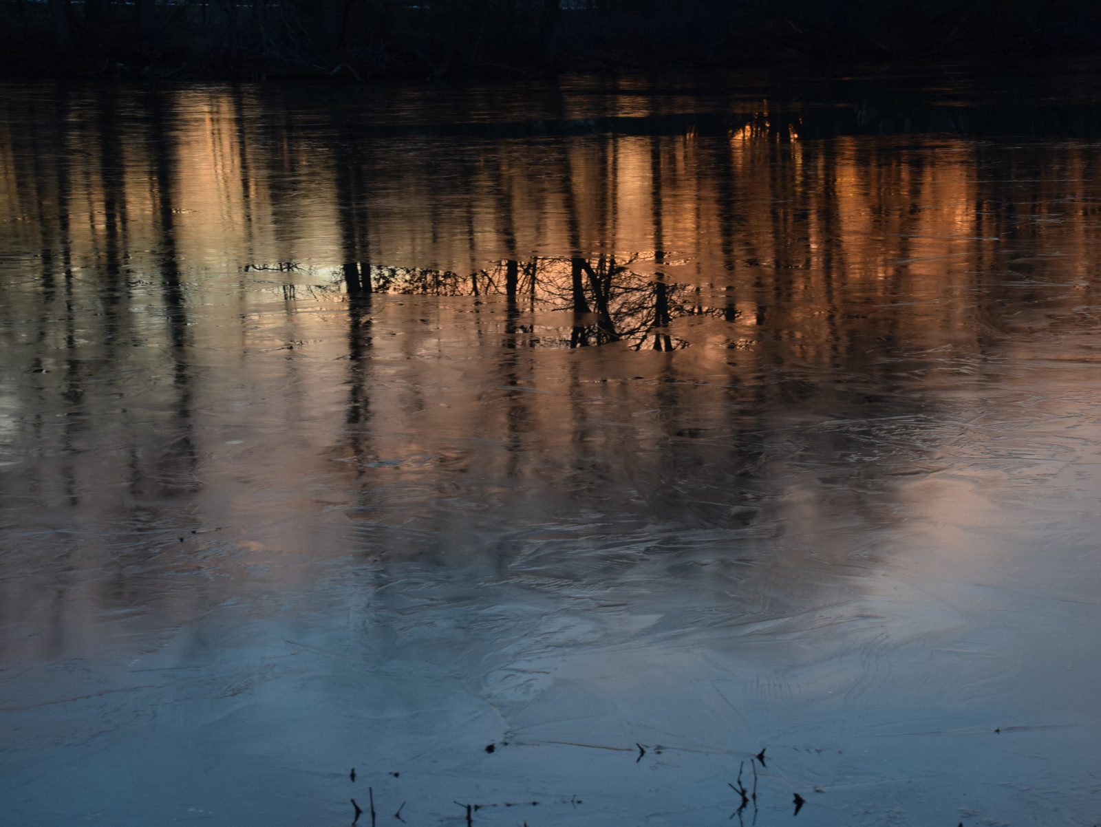 изгрев, размисъл, лед, езеро, дървета