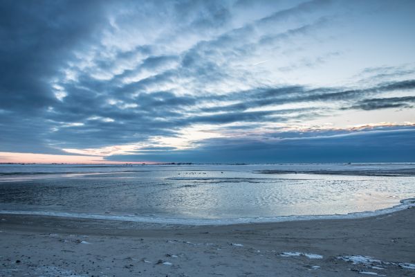 winter,sea,snow,vinter,naturereserve,sno