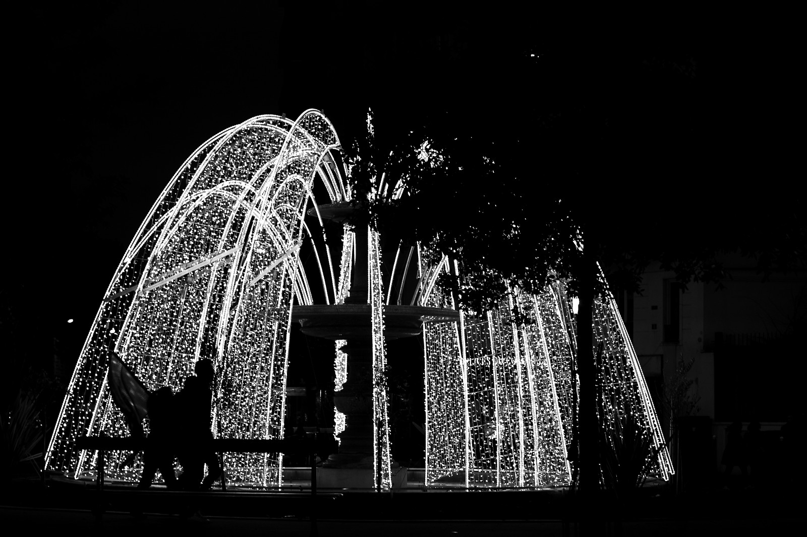 sort, monokrom, nat, arkitektur, fotografering, Paris, charlie, lys, træ, belysning, Gade syn, mørke, nuit, noiretblanc, blackandwithe, photoderue, urbanarte, indsamling, hyldest, photopascalcolin, sort og hvid, monokrom fotografering, Rassemblement, stock photography