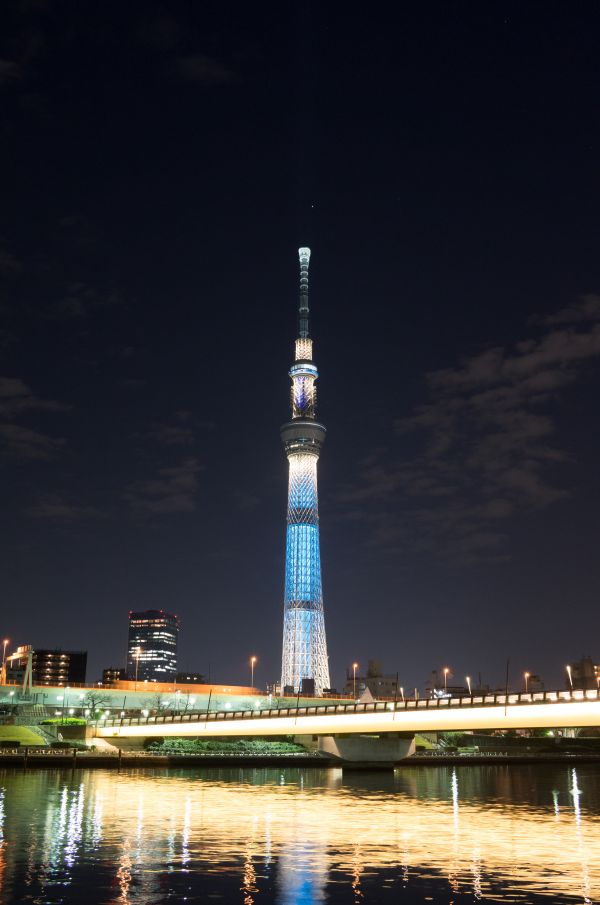 Japan,city,cityscape,night,architecture,reflection