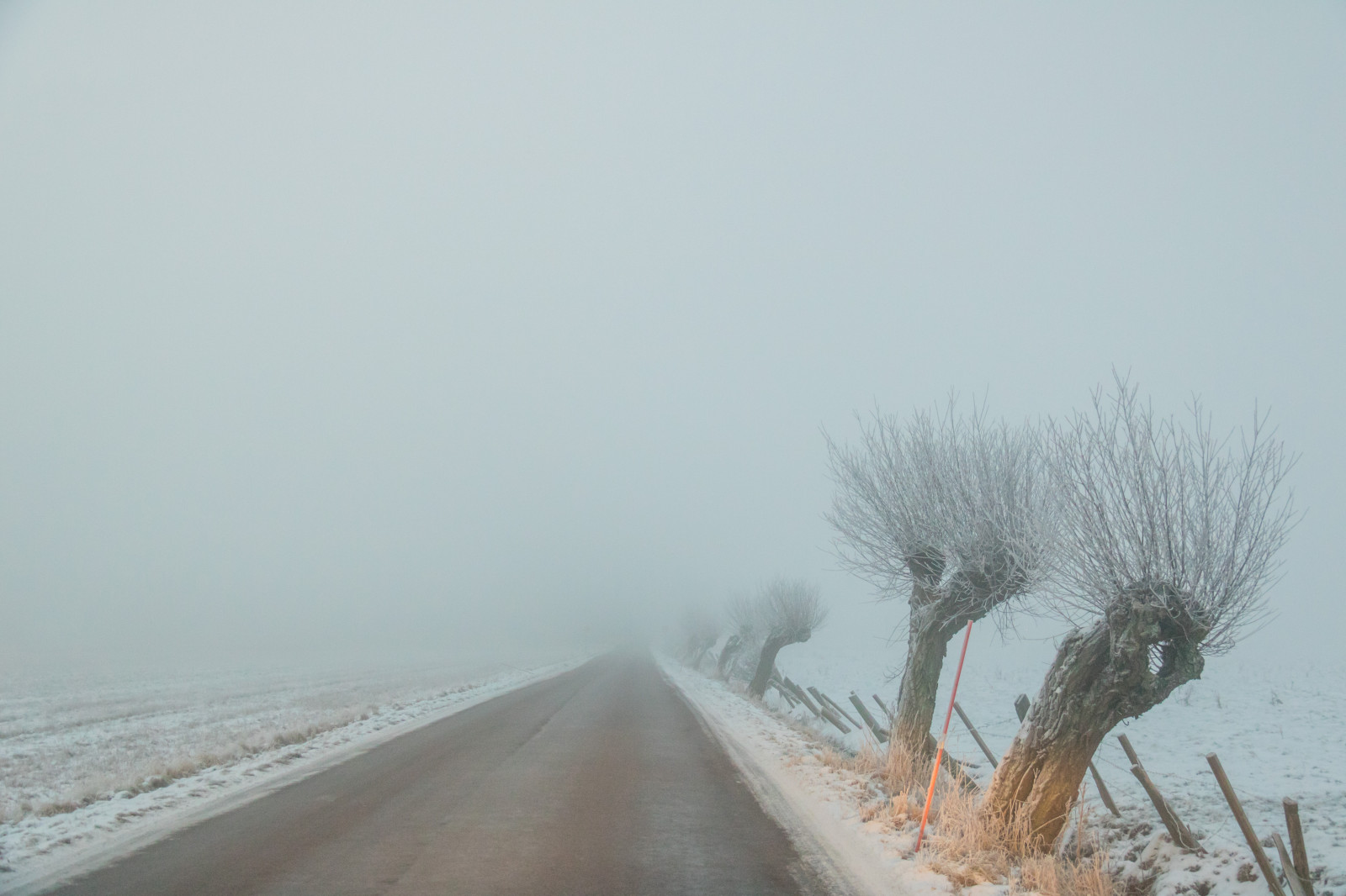 sníh, zima, silnice, Studený, ráno, mlha, mráz, vítr, Jinovatka, zmrazení, opar, mlha, počasí, sezóna, Vinter, tr d, kallt, skateholm, VAG, rimfrost, tři, vánice, atmosférický jev, zimní bouře