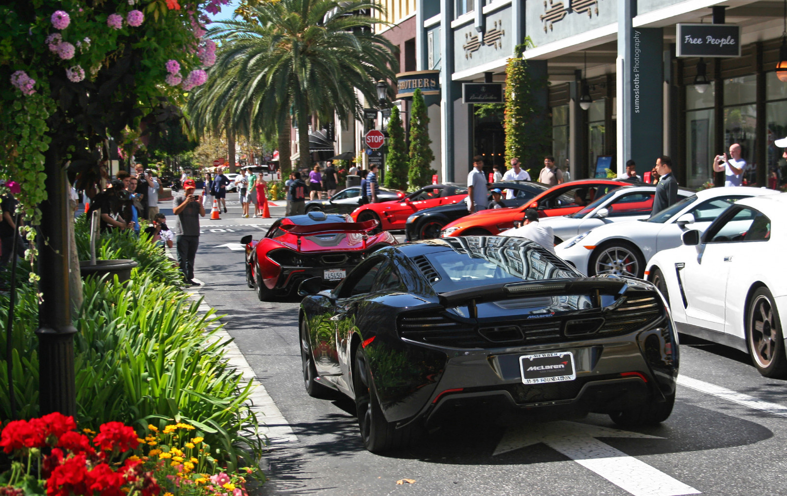 park, květiny, stromy, Červené, rostliny, Černá, zelená, cars, káva, opouštět, sopka, záliv, San, francisco, jose, říjen, s, řádek, CC, spolu, McLaren, Sto, plocha, 650, santana, 100, uhlík, kupé, p1, oktan, Menlo, croissanty, 650S, 100 října, sumosloths