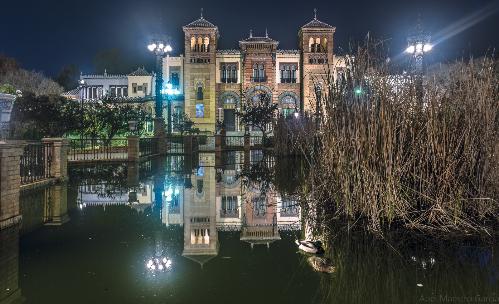 città, paesaggio urbano, notte, acqua, riflessione, orizzonte, sera, canale, Siviglia, albero, centro, ESPA un, abel, 34, Andalucia, maestro, punto di riferimento, area urbana, corso d'acqua, insediamento umano