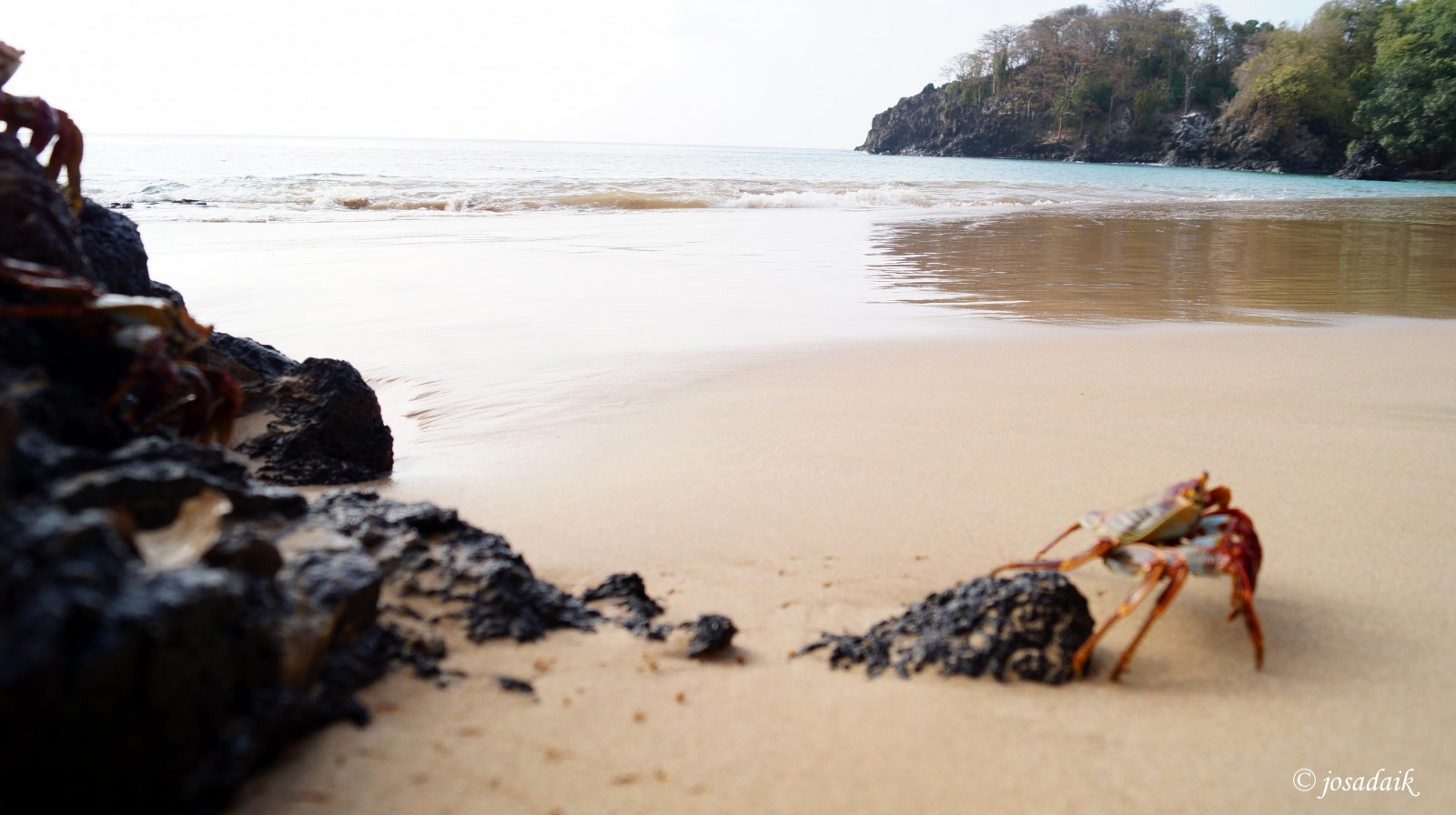 oceán, výlet, cestovat, modrý, moře, letní, tapeta na zeď, Brazílie, dovolená, Paisajes, cestování, slunce, Praia, Jižní Amerika, voda, barvy, Krásná, agua, azul, Brasil, složení, krajina, ostrov, fotografování, mar, fotografie, úžasný, skály, flickr, ráj, střílet, br, dobrý, horní, Sony, skvělý, skvělý, hrdost, CEU, Tripper, ohromující, destinace, brazilský, Verao, Belvedere, fotografia, alfa, Mirante, Isla, Fernandodenoronha, Ilha, Destino, slunečný den, paraiso, Nordeste, sudamerica, americadosul, kliknutí, Greenwater, Noronha, Morrodoisirm os, opuštěný ostrov, Vozík opostal, Deserta, Ensolarado, Pohlednice, Exuberantní, Aratu, Brazilbeach, flickrdiamond, Ilhadeserta, Translucid, Odlišný pohled, Ba adosportos, Vulcanicorigined