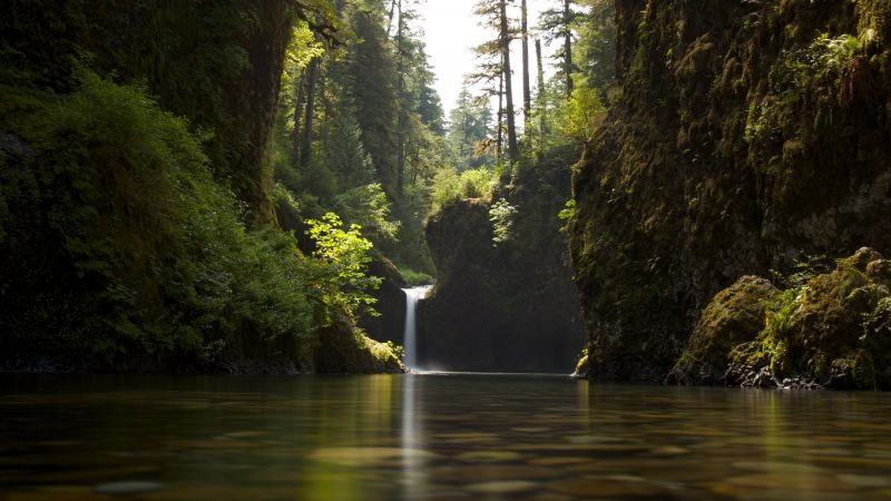 3840x2160 px, landskab, natur, efterår, mos, Dam 3840x2160 px, landskab, natur, efterår, mos, Dam