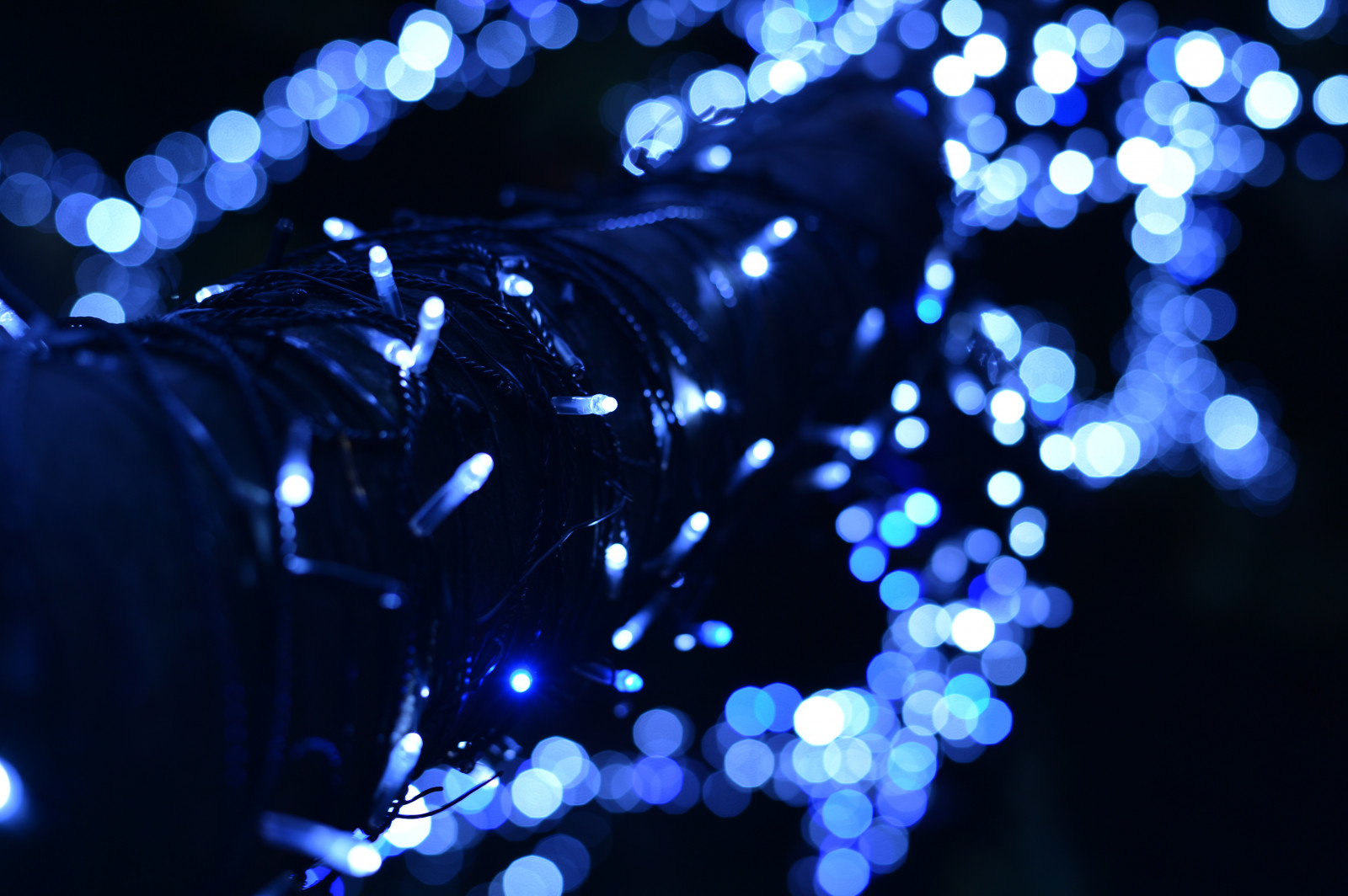 Japonsko, noc, odraz, modrý, kruh, Nikon, Vánoční osvětlení, Tokio, jp, světlo, NIKKOR, květ, osvětlené, osvětlení, osvětlení, tma, df, Roppongi, keyakizaka, afs58mmf14g, afsnikkor58mmf14g, osvětlit, vánoční dekorace, makro fotografie