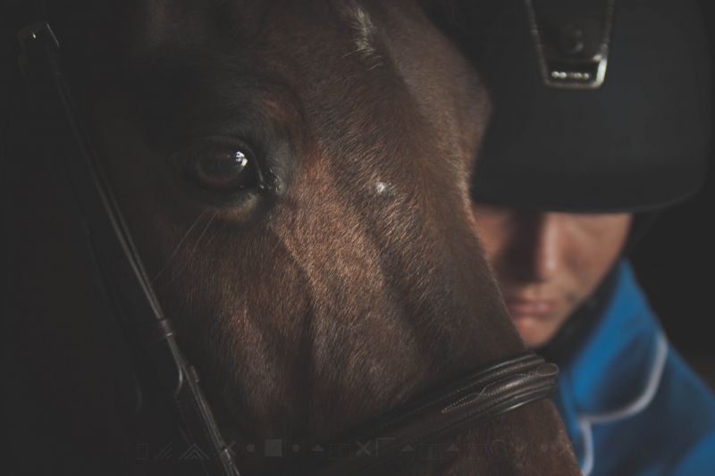 Černá, nos, zblízka, čenich, oko, fotografování