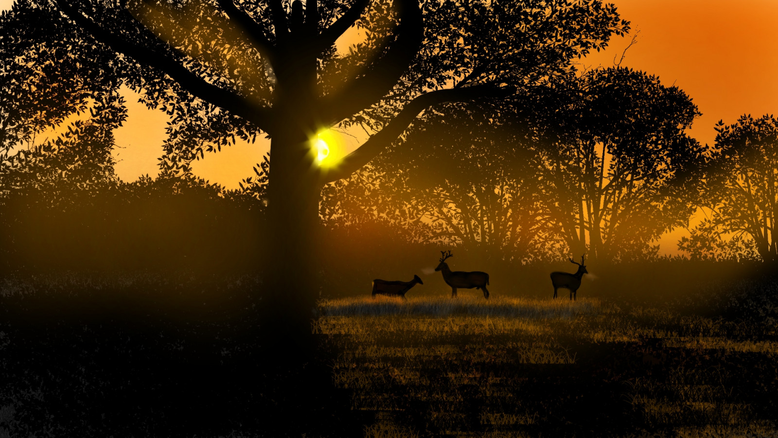 atmosfera, céu, plantar, Afterglow, folha, Natural landscape, ramo, árvore, Cervo, People in nature, luz solar, Fenômeno atmosférico, grama, Céu vermelho na manhã, Bioma, crepúsculo, Planta lenhosa, Fawn, galho, Pôr do sol, nascer do sol, panorama, avião, Tints and shades, horizonte, Pastagem, Objeto astronômico, calor, Pastoreio, Prado, terrestrial animal, floresta, dom, Retroiluminação, névoa, Decíduo, pradaria, tronco, alvorecer, rabo, pasto, animais selvagens, tarde, Floresta, campo, Lentidão da lente, Trevas, neblina, Savana, reflexão, sombra, selva, silhueta, outono, noite, Safári
